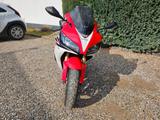 Honda HONDA fireblade SC57 2008 TriColor - SC57
