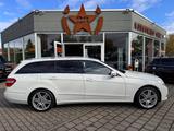 Mercedes-Benz E 350 T-Modell CDI BlueEfficiency - Mercedes-Benz E 350 in Magdeburg
