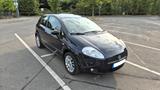 Fiat Punto Evo 1.4 8V Racing | Klima | TÜV NEU - gebrauchte Fiat Punto Evo aus dem Jahr 2009