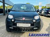 Fiat Panda 1.0 Cross City Plus Hybrid DAB Klima teilb - Fiat Panda: 1.0