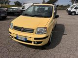 Fiat Panda 1.2 Dynamic km 58000! unipro - Fiat Panda Cabrio Gebrauchtwagen