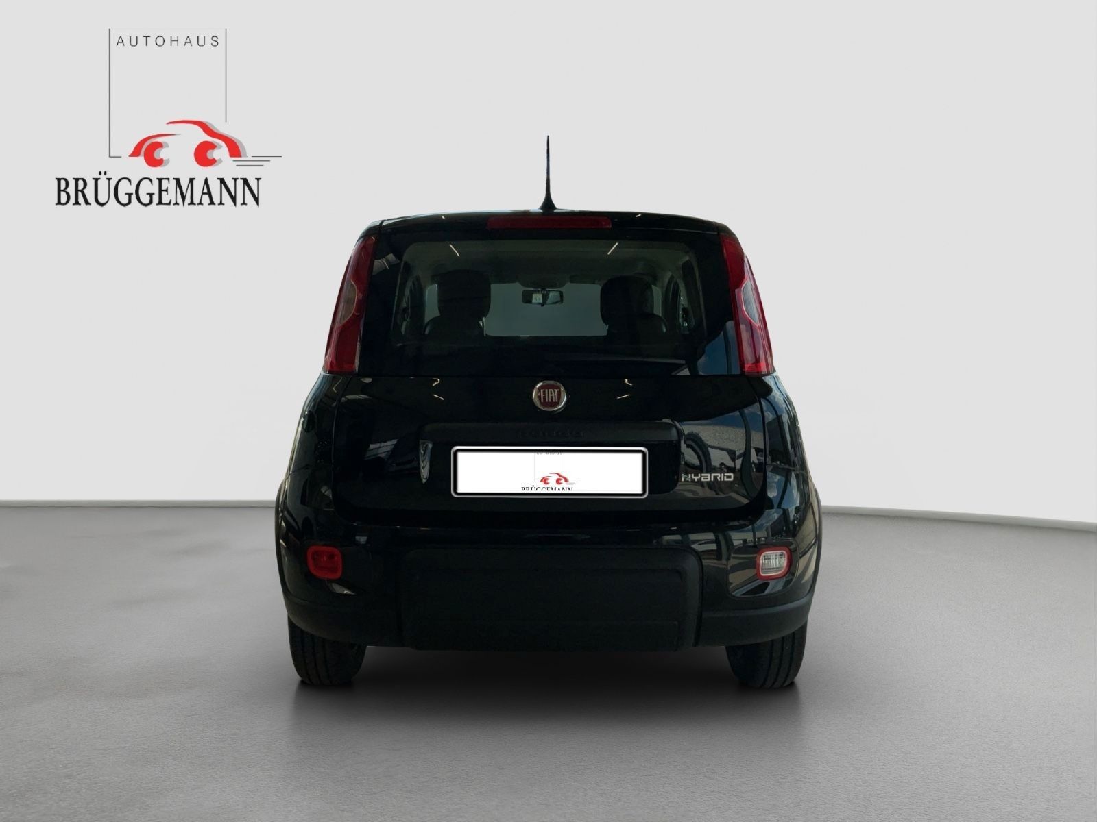 Fahrzeugabbildung Fiat Panda 1.0 Hybrid