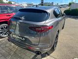 Alfa Romeo Stelvio 2.0 Turbo 16V 206kW Ti AT8-Q4 Ti - Alfa Romeo Stelvio aus 2021