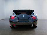Volkswagen New Beetle Cabriolet 1.4 Highline - Volkswagen New Beetle: Leder