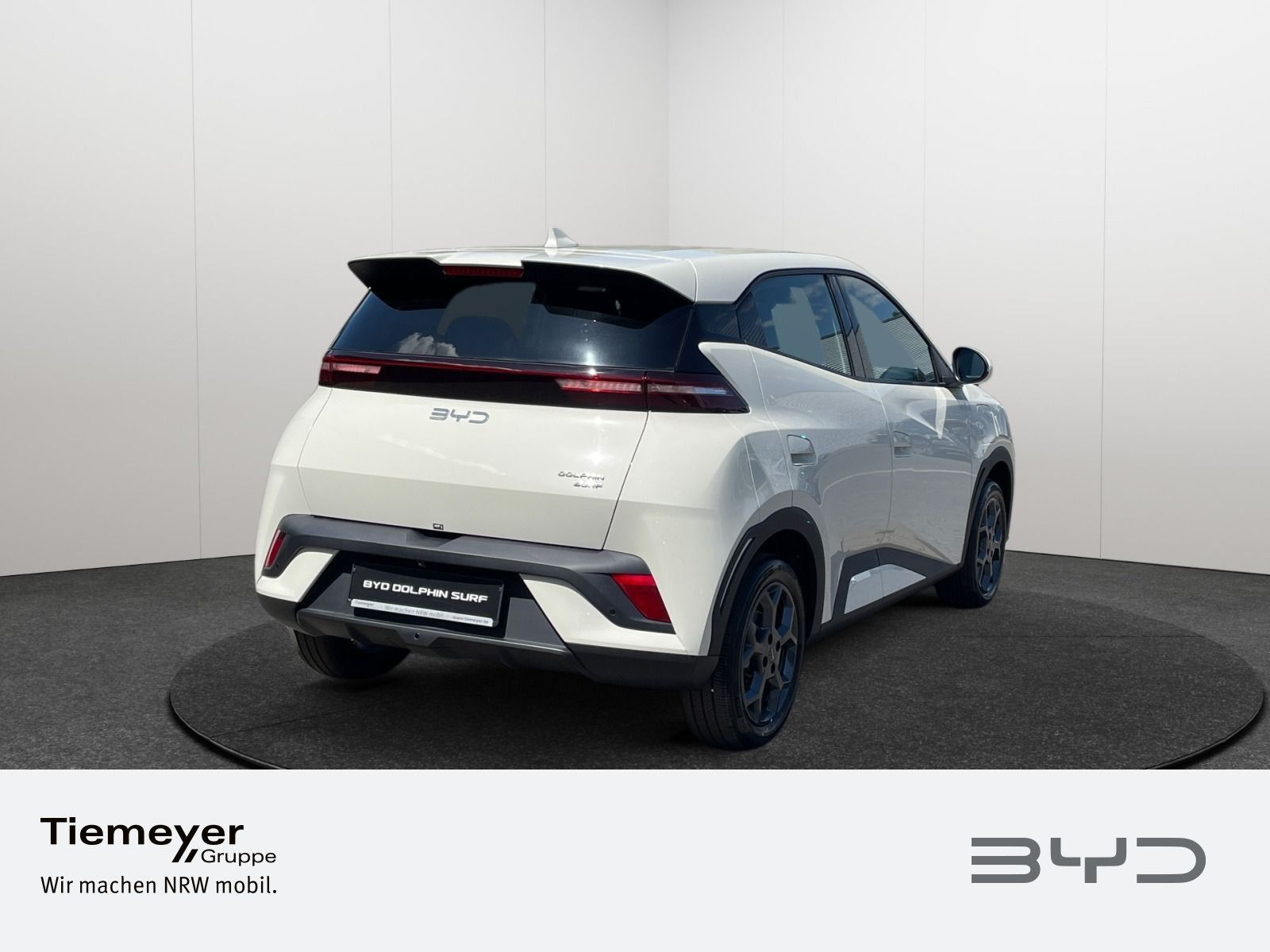 BYD DOLPHIN SURF