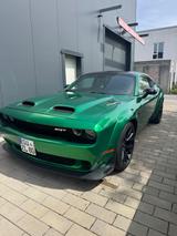 Dodge Challenger 6.4 V8/Diamantgrün/Leder/Kamera - gebrauchte Dodge Challenger aus dem Jahr 2018
