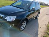 Opel Antara 2.2 CDTI 4x4 Automatik Vollled... - Opel Insignia: Geländewagen