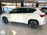 Cupra Ateca 4Drive SHZ+LHZ+NAVI+EPH+19"ALU 221 kW (... - Cupra Ateca in Stuttgart
