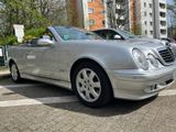 Mercedes-Benz CLK 230 K AVANTGARDE Avantgarde/Automatik/Klima - Mercedes-Benz CLK 230 mit Benzin-Antrieb