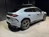 Lamborghini URUS inkl. Servicepaket/Garantiepaket UNFALLFREI - Lamborghini Urus von privat