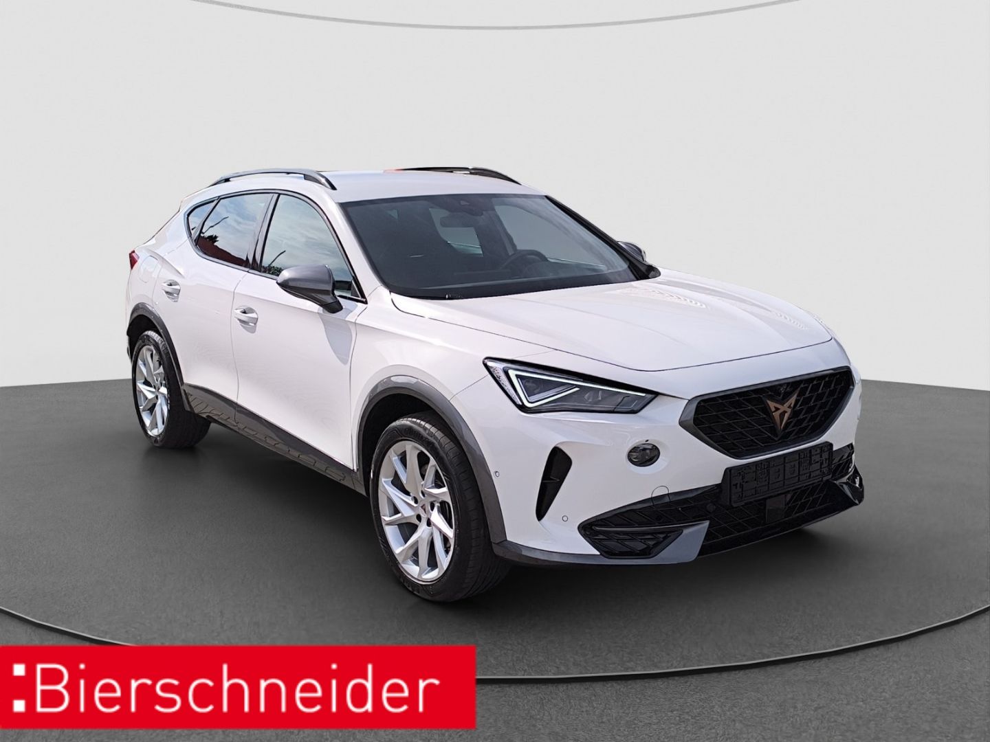 Cupra Formentor 1.4 e-Hybrid DSG NAVI PARK-ASSIST RFK imagem 3