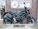 Suzuki SV650 NEW LIGHT EDITON Modell 2025 - SUZUKI 650 SV N