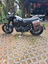 Benelli Leoncino 500 - BENELLI LEONCINO 500