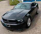 Ford Mustang V6  - Ford Mustang aus 2012: Coupe