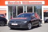 Volkswagen Golf VIII 2.0 TDI Digitales Cockpit Navi LED ACC - Volkswagen Golf: Golf2