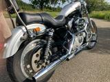 Harley-Davidson Sportster Custom 883-Jubiläumsmodell 100 Jahre - HARLEY-DAVIDSON SPORTSTER 883 CUSTOM