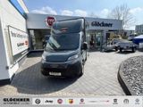 Fiat Ducato Böckmann Pferdetransporter Compact