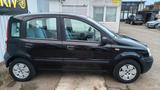 Fiat Panda 1.1 8V Active *TÜV* *SERVO* *WENIG KM* - Fiat Panda Active mit Benzin-Antrieb