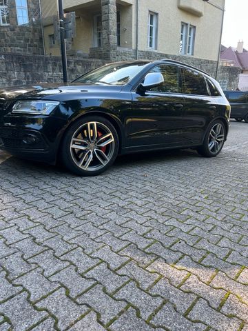 AUDI Audi SQ5  Top Zustand