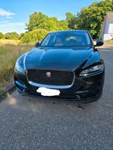 Jaguar F-Pace 20d AWD Portfolio Automatik - Jaguar F-Pace: Portfolio