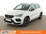 Cupra Ateca 2.0 TSI VZ 4Drive Aut. *VC*LED*ACC*360°* - Cupra Ateca in Stuttgart