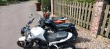 Yamaha BT 1100 Bulldog / VX 800 Bj, 93 / Vespa Sfera 50 - YAMAHA BT 1100 BULLDOG