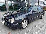 Mercedes-Benz E 240 Avantgarde 24 J. 1.Hd. GSD Xenon Traumzust - Mercedes-Benz E 240: Avantgarde