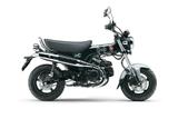 Honda Dax 125 / ST 125 #2025 #bis 6 Jahre Garantie