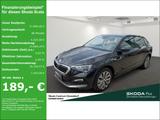 Skoda Scala Clever DSG AHK Business & Reise-Paket Lich - Skoda Scala: Clever