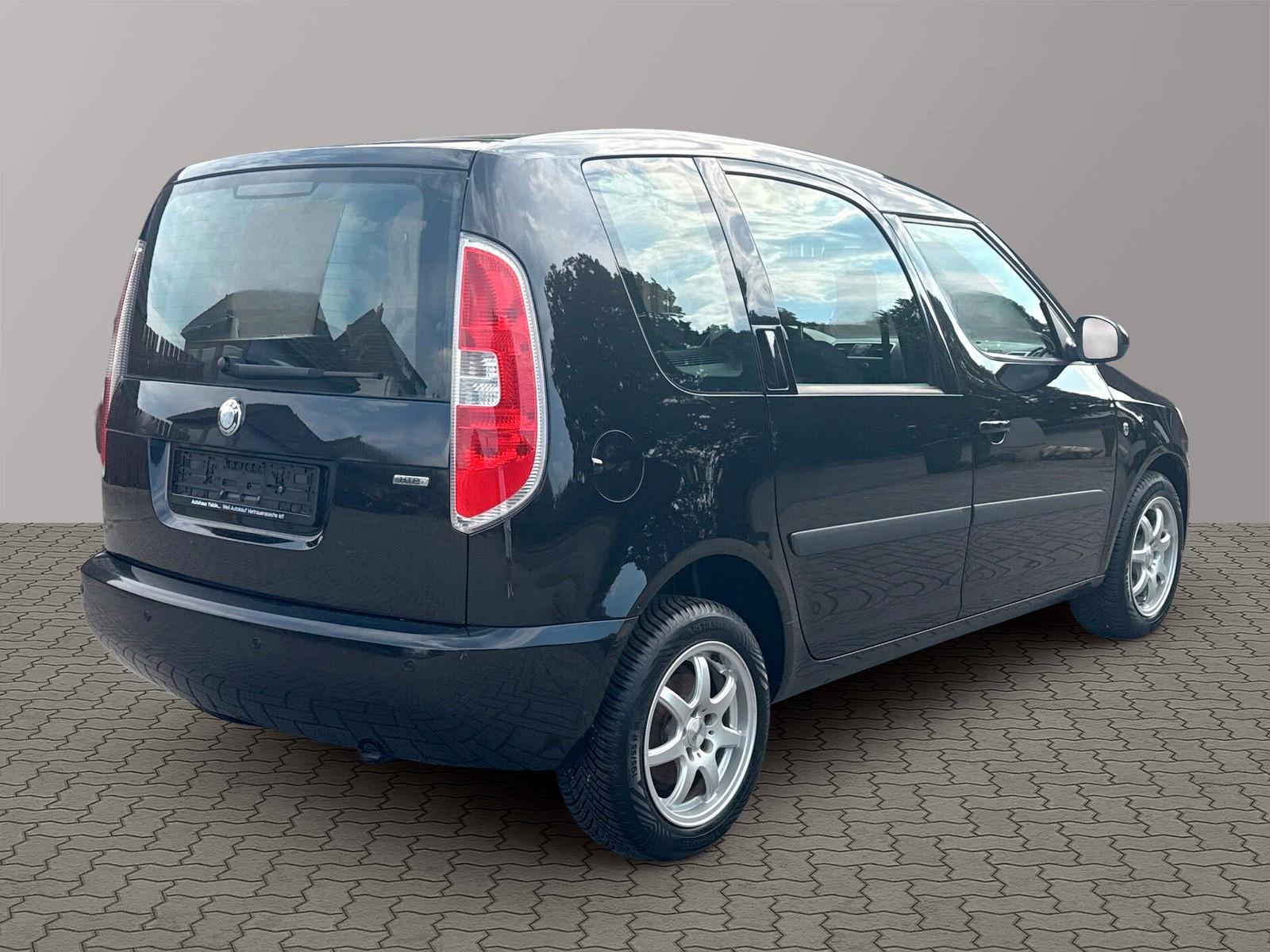 Skoda Roomster 2006 — салон