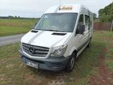 Mercedes-Benz Sprinter 313, 61.000 KM, Top Zustand,  - Mercedes-Benz Koffer Sprinter 313