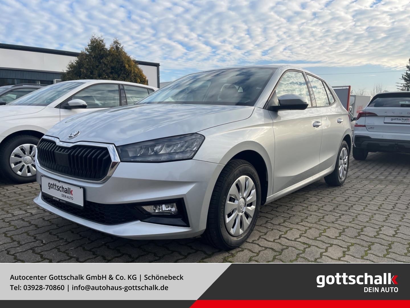 Skoda Fabia Selection 116 PS DSG Parks. RüKa Sitzh. Ca