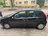 Fiat Punto 1.2 8V Active Active - Fiat Punto in Mainz