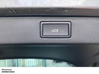 Skoda Kamiq - Vorschau Bild 19