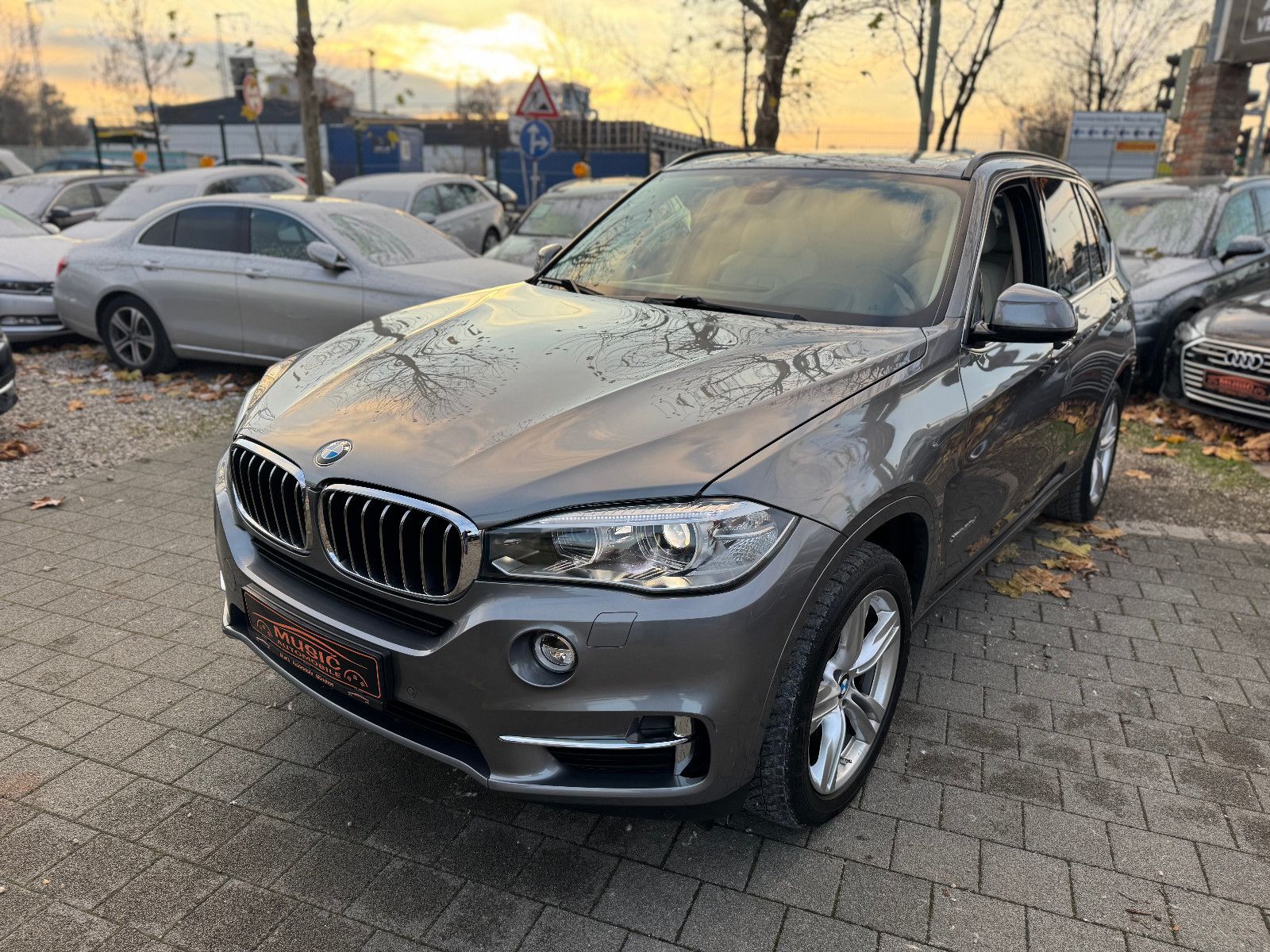 BMW X5 xDrive 30 d/Pano/Navi/LED