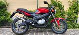 Cagiva Raptor 125 (keine Mito) - CAGIVA MOTORRAD