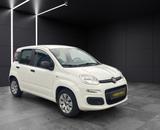 Fiat Panda 1.2 Benzin - Fiat Panda Gebrauchtwagen in Dortmund