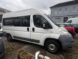 Fiat Ducato 2.2l Diesel / 9 Sitzer/Rollstu... - Fiat Ducato in Gelsenkirchen
