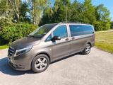Mercedes-Benz Vito 119 CDI BlueTec 4x4 lang - Mercedes-Benz Vito mit Diesel-Antrieb: Braun