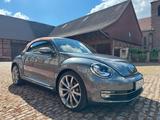 Volkswagen VW Beetle Karmann Cabriolet - Volkswagen Beetle: Karmann