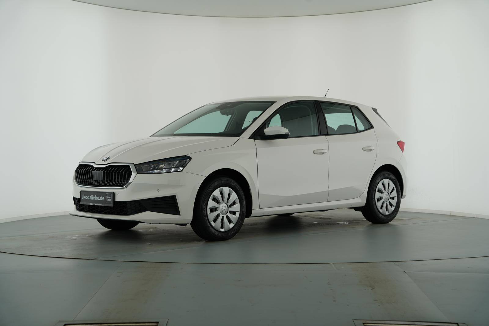 Skoda FABIA SELECTION 1.0MPI -ZUVERLÄSSIG & GÜNSTIG-