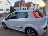 Fiat Punto Evo, 1,3 Multijet Sport, weissp... - Fiat Punto Evo: Sport
