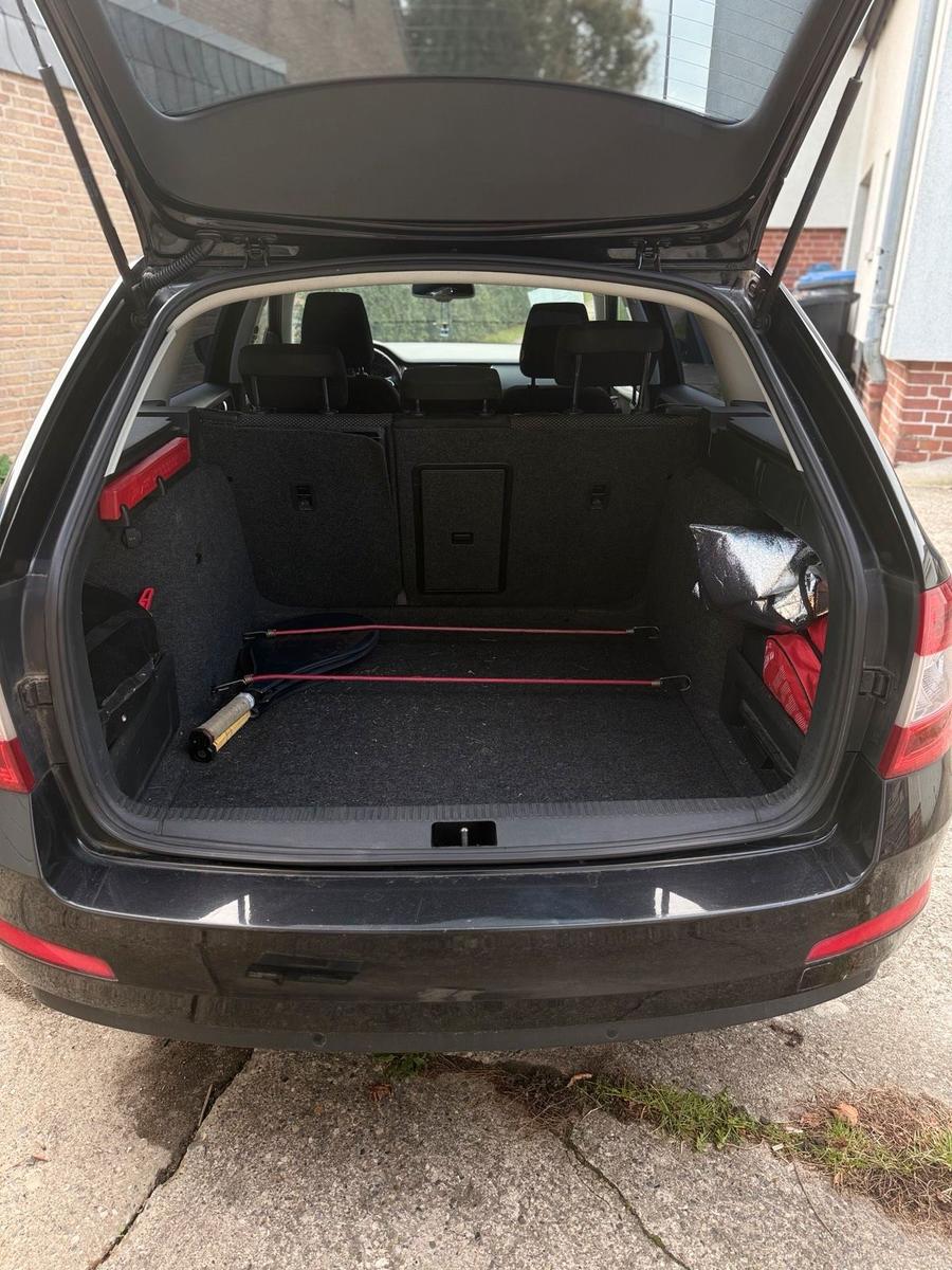 Skoda Octavia 2014 — photo 10