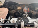 Triumph Daytona 955i Top Zustand - Offers matching your search criteria