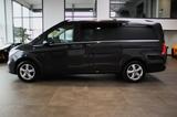 Mercedes-Benz V 250D 4MATIC LANG! EXKLUSIV AVANTGARDE EDITION - Mercedes-Benz: 7 Sitzer