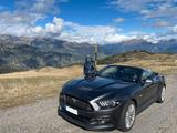 Ford Mustang 5.0 Ti-VCT V8 GT GT - Ford Mustang mit Benzin-Antrieb: Cabrio, 5.0