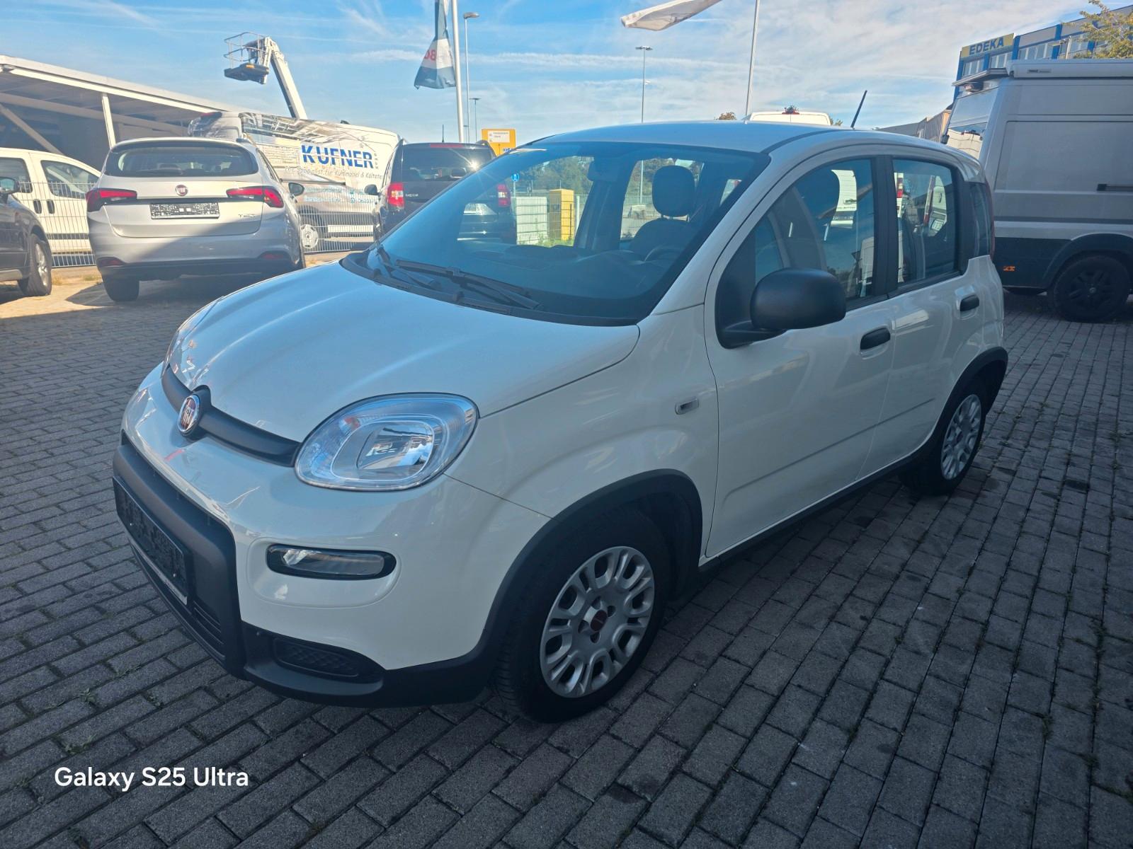 Fiat Panda Base