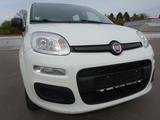 Fiat Panda Easy°Scheckheft°Klima°TÜV Neu° - Fiat Panda in Düsseldorf
