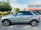 Mercedes-Benz Mercedes Ml 350 CDI 2011 Bluetec 4Matic - Mercedes-Benz ML 350 in Mainz