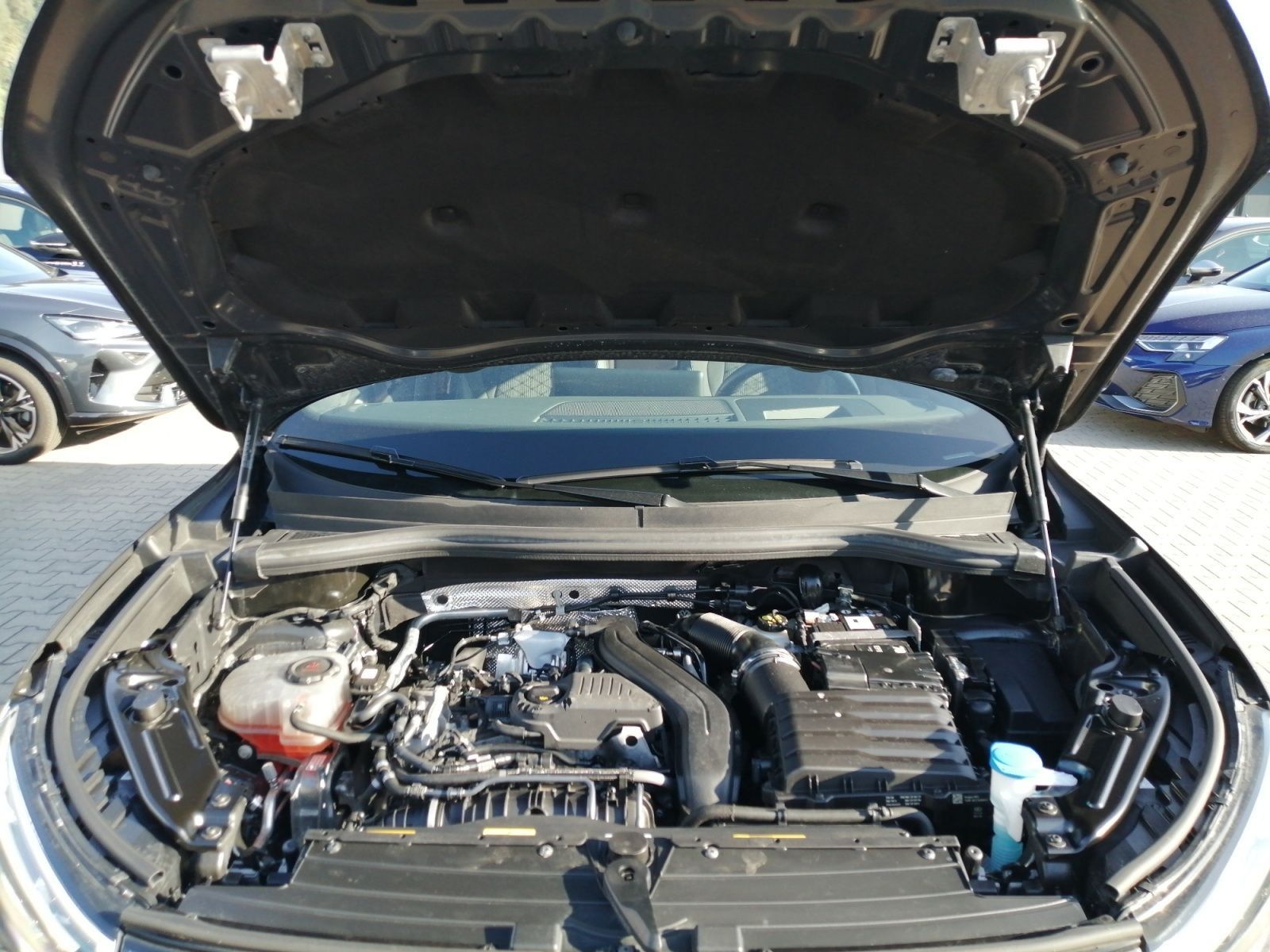 Volkswagen Tiguan R-Line 1.5 TSI DSG Matrix Pano,360°Kamer foto 11